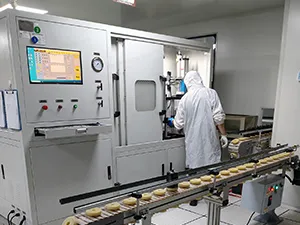 Produktionskapazität